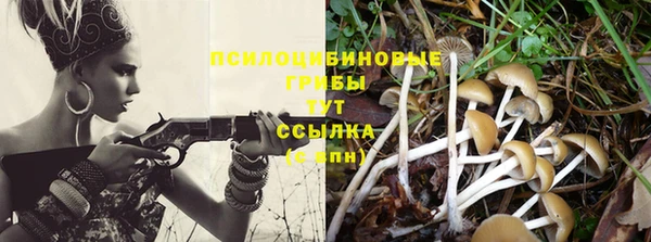 мдма Тихвин